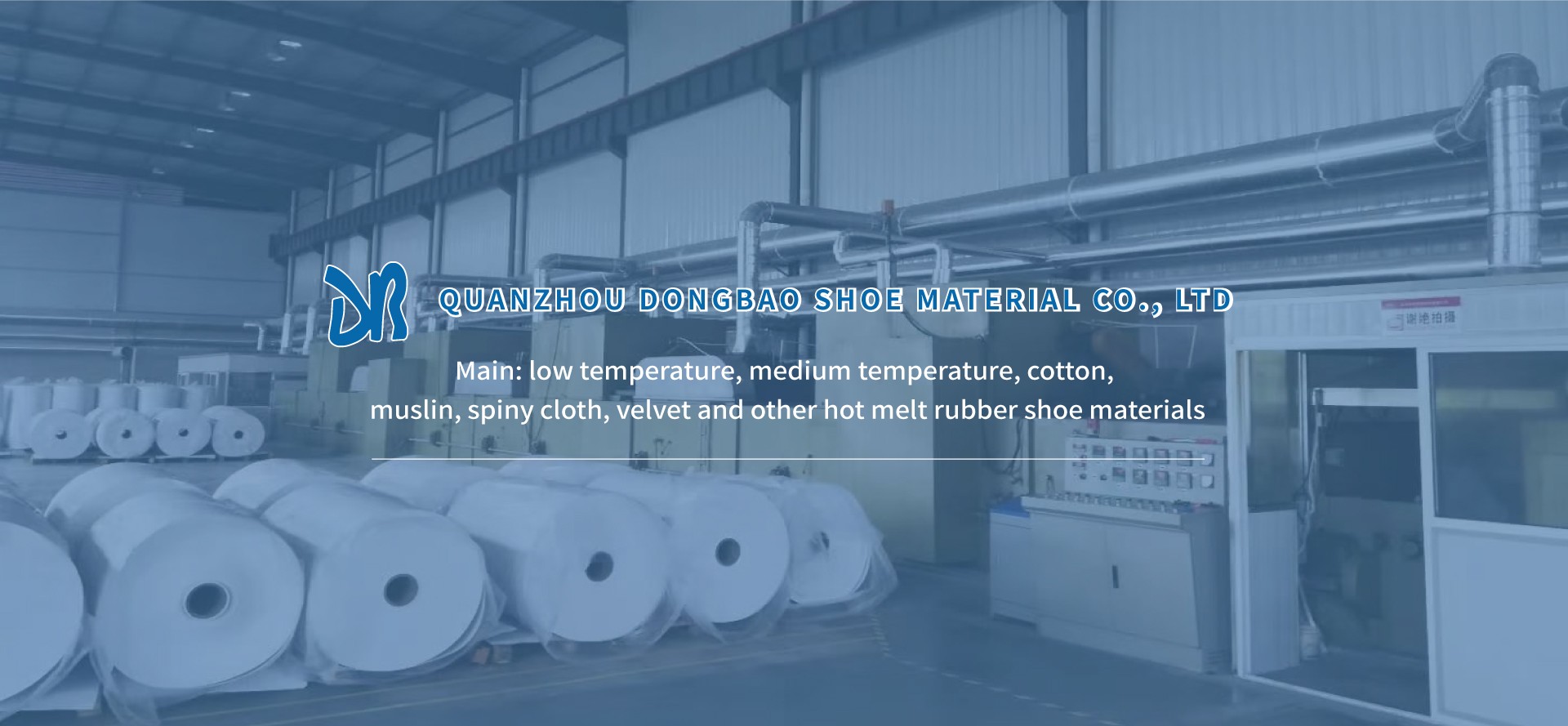 东宝鞋业网站首页轮播图